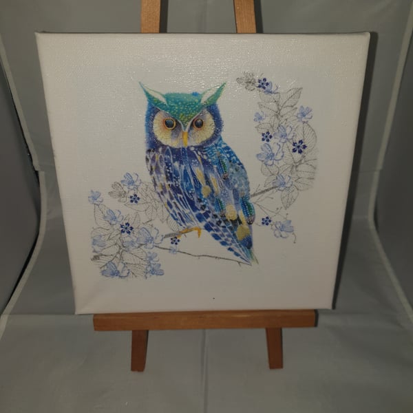 Owl canvas 