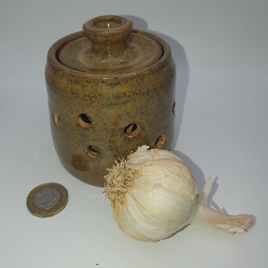 Garlic storage pot
