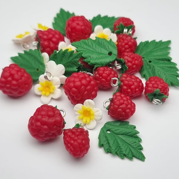 Raspberry charm set 