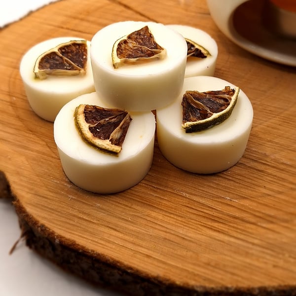 Lime Cooler Scented Botanical Wax Melt with Citrus