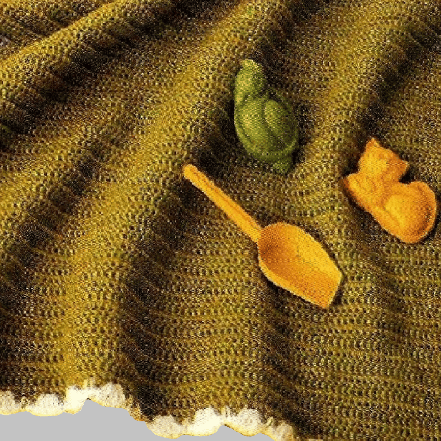 VINTAGE CROCHET PATTERN PDF Babies Shell Edge Cot Blanket