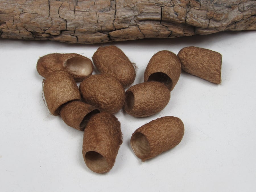10 Walnut Dyed Dark Brown Naturally Dyed Silk Cocoons