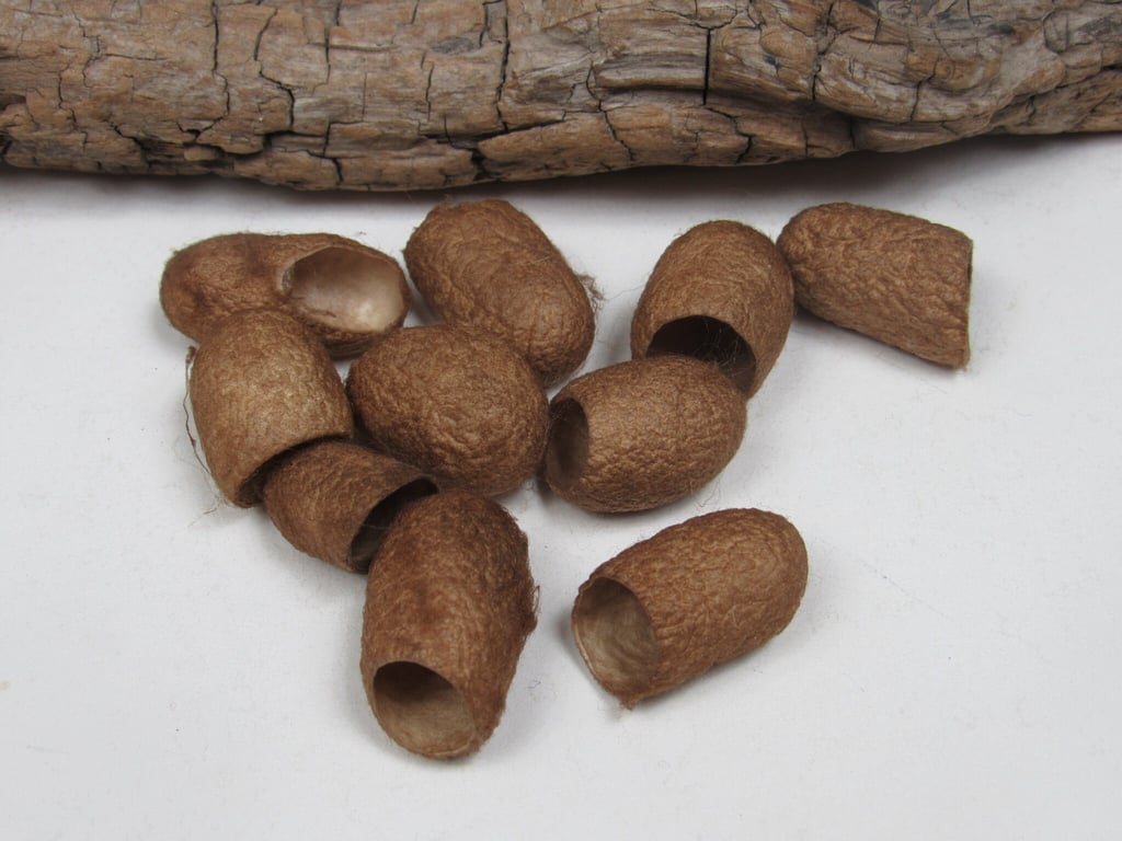10 Walnut Dyed Dark Brown Naturally Dyed Silk Cocoons