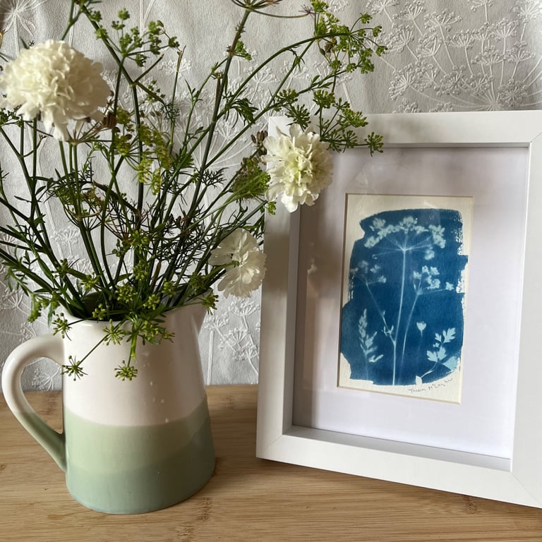 Original ready-mounted cyanotype print of meadow plants