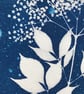 Botanical Art, Original Art, Elderflower. - Image 5