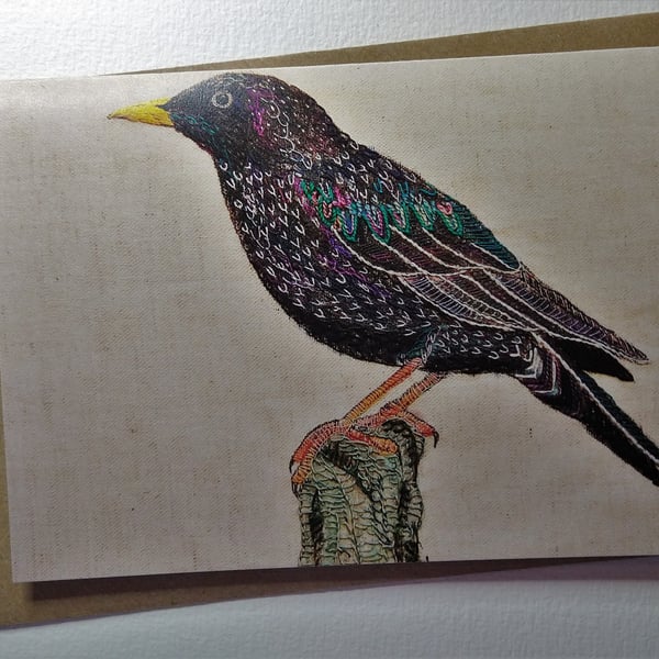 Starling Embroidered Portrait Greetings Card
