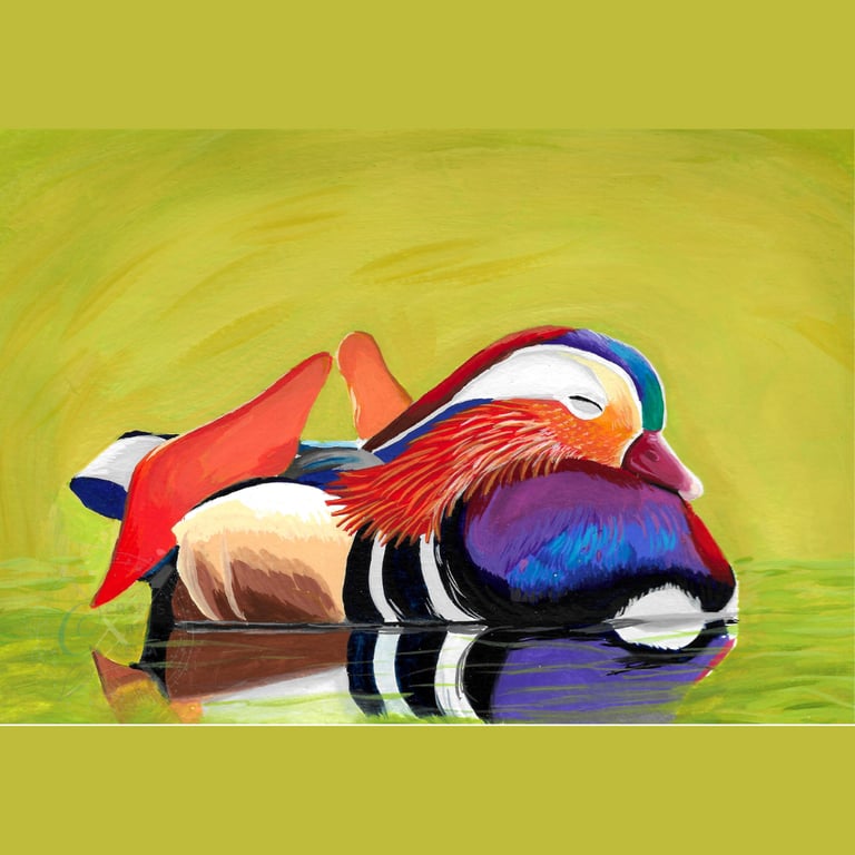 Mandarin Duck Art Print A5 Gouache Painting