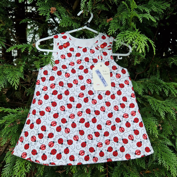 Age: 3-6m Ladybird Dress 