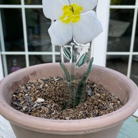 WHITE and YELLOW  “Plant pot peg