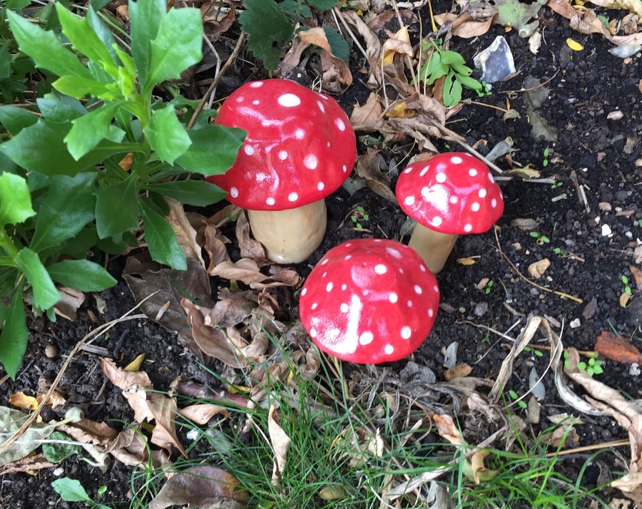 Set of 3 Fairy toadstools for indoor or outdoor use.