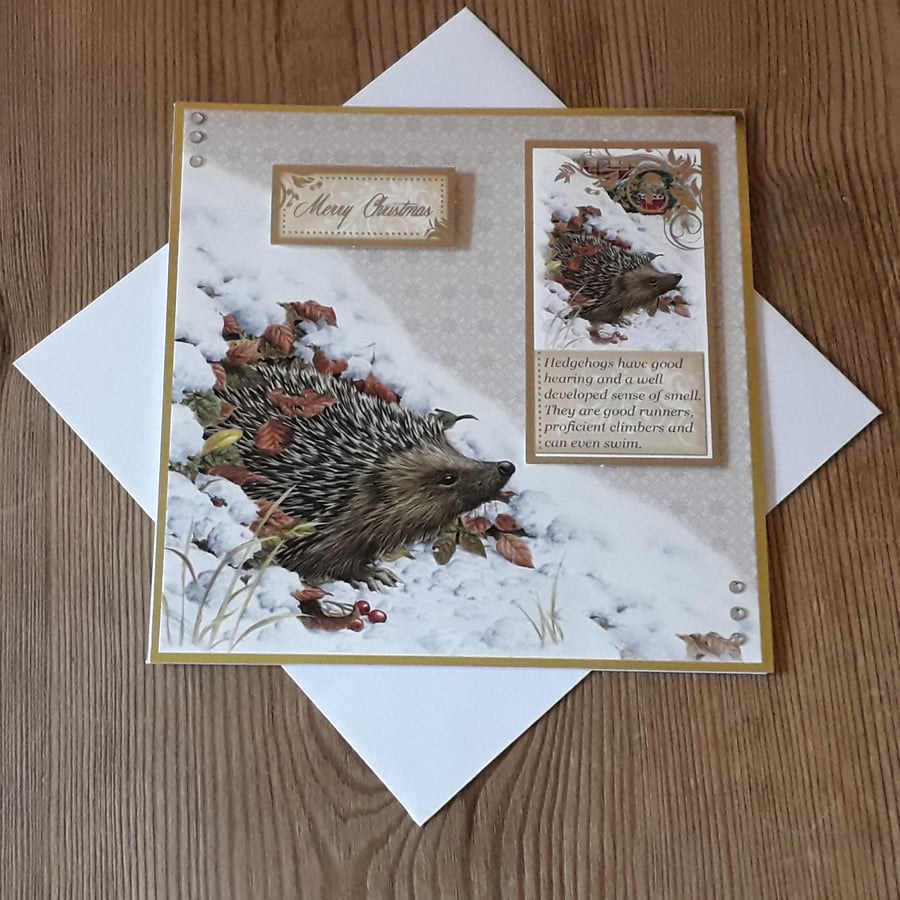 Pretty Merry Christmas Hedgehog Card