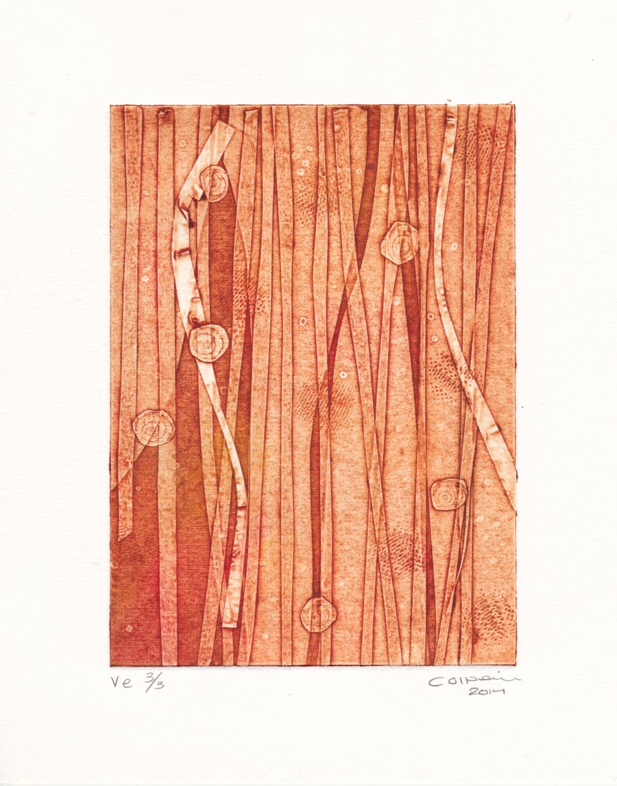 Long Grasses VE 3.3- Original Print - Art for the Home