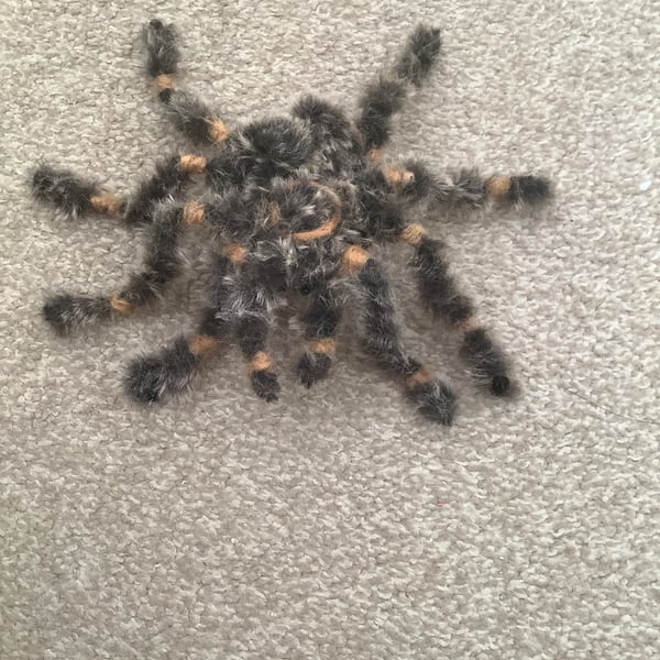 Needle felted terantula 