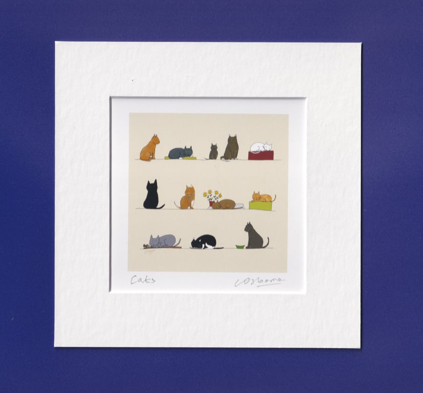 Cats - print from cat illustration featuring lots of cats