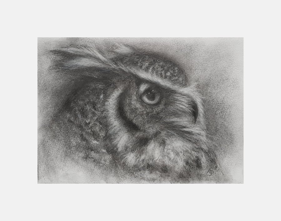 Eagle Owl Charcoal Drawing, Original A5 Bird Wall Art