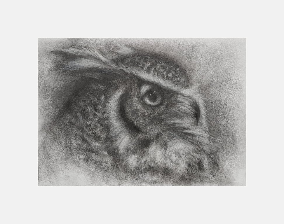 Eagle Owl Charcoal Drawing, Original A5 Bird Wall Art
