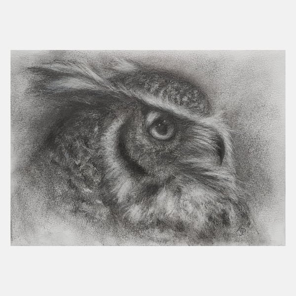 Eagle Owl Charcoal Drawing, Original A5 Bird Wall Art