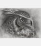 Eagle Owl Charcoal Drawing, Original A5 Bird Wall Art
