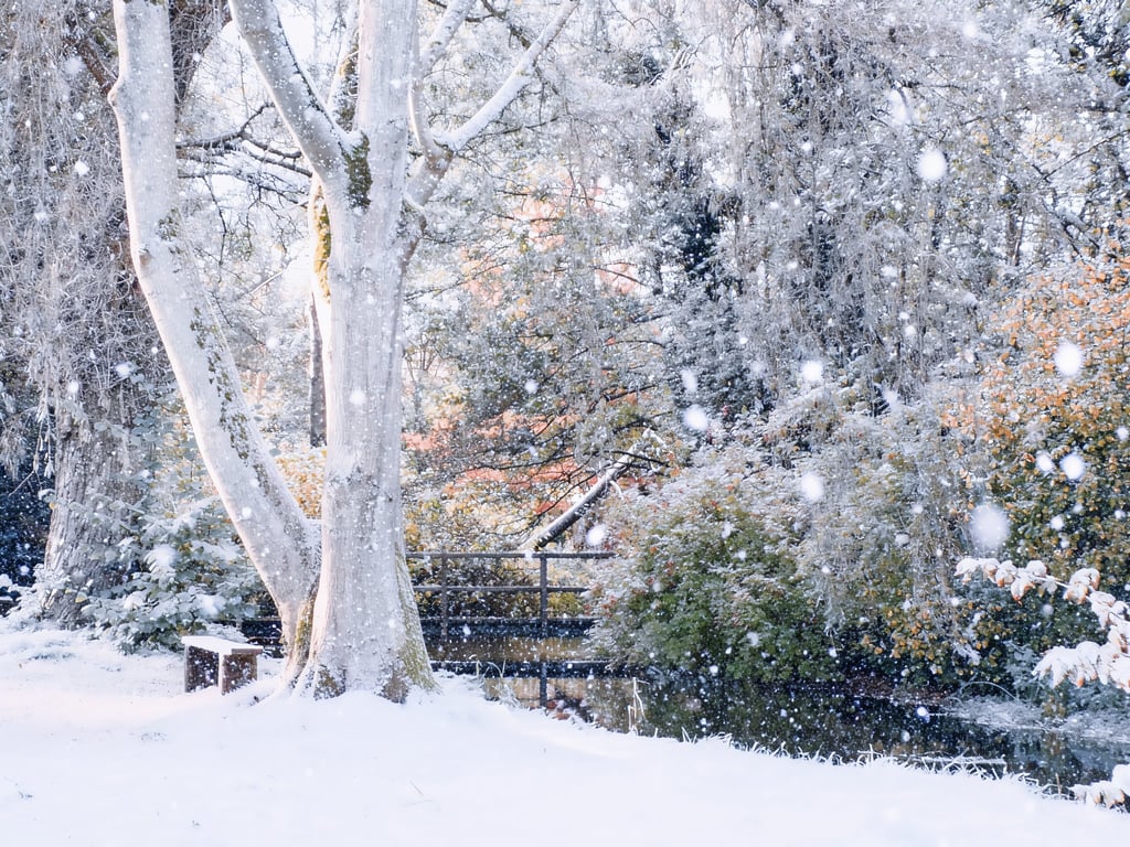 Water Garden in Winter Norfolk Christmas Greeting Card A5