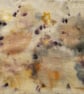 Eco Printed fine wool scarf leaves and Hopi sunflower Seeds - Image 5