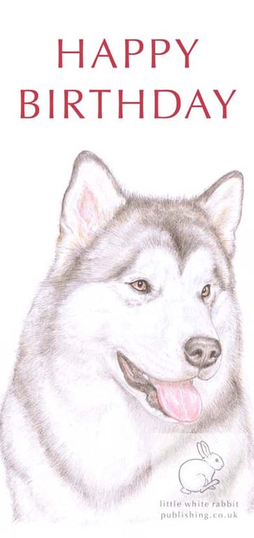 Hugo the Alaskan Malamute - Birthday Card