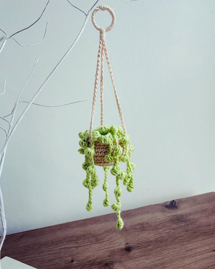 Crochet succulent 