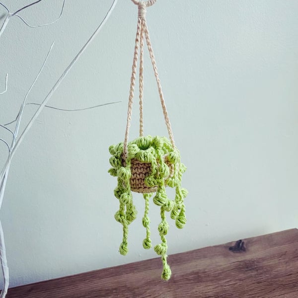 Crochet succulent 
