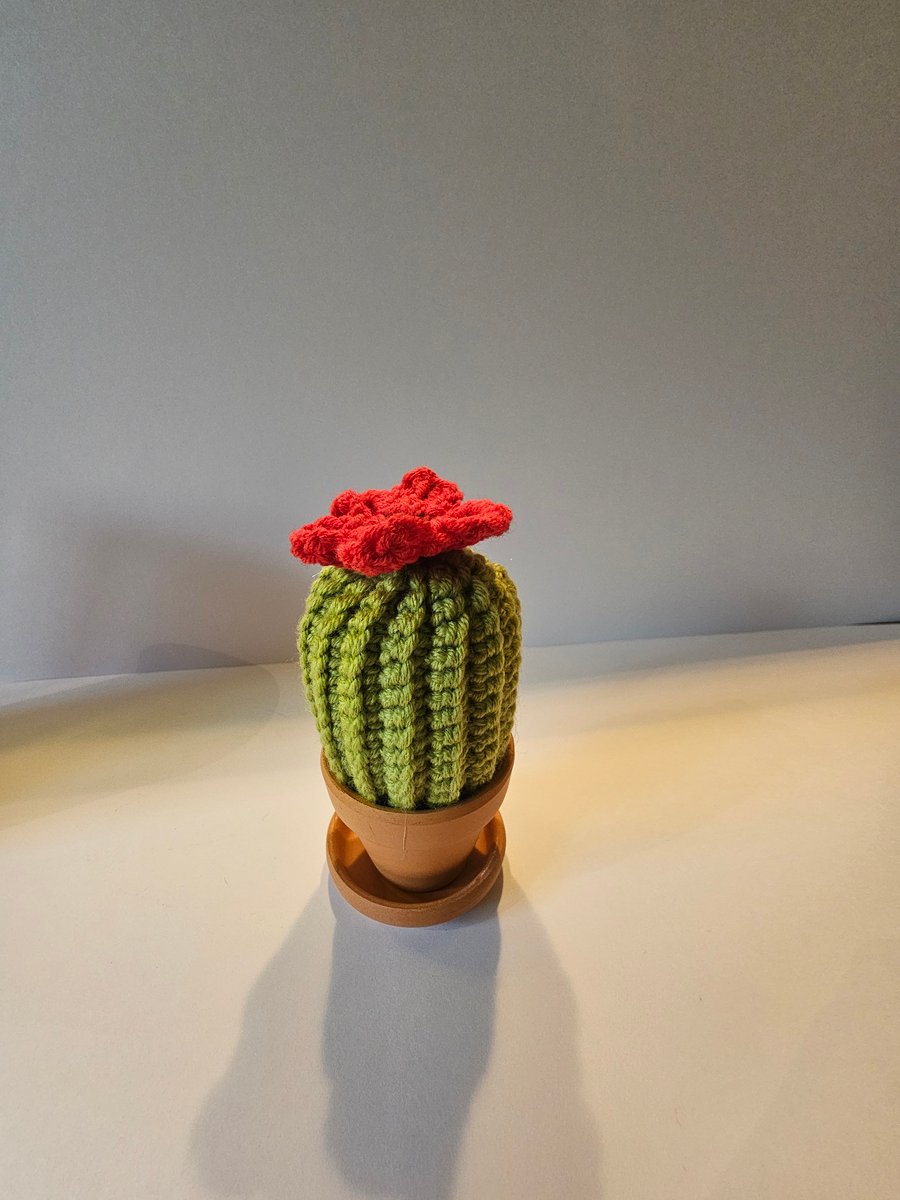 Crochet cactus with red poppy flower