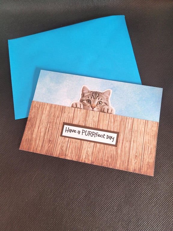 Purrfect Day blank greetings card grey cat