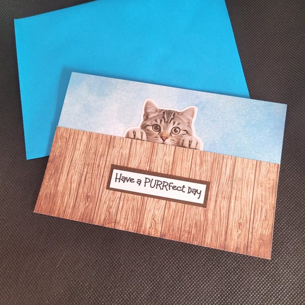 Purrfect Day blank greetings card grey cat