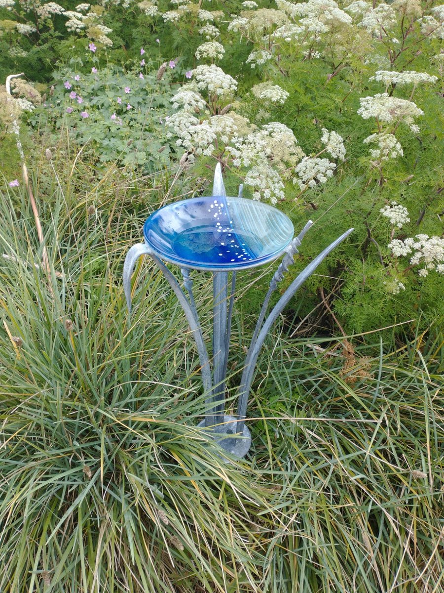 Baby Bullrush Bird Bath