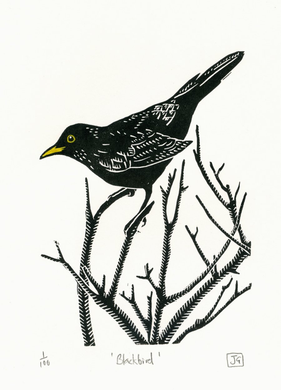Blackbird two-colour linocut print