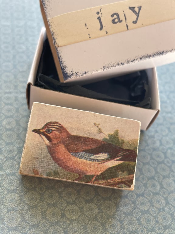 Jay - Wooden Bird Block Brooch