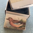 Jay - Wooden Bird Block Brooch