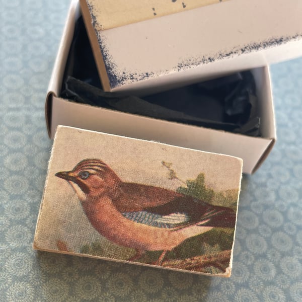 Jay - Wooden Bird Block Brooch