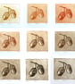Acorn drypoint no.5 of 10 forest floor shades of autumn small scale print - Image 3