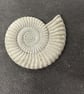  Ammonite Fossil fridge magnet in cement -2.2