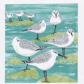 Original lino print sanderlings, sea birds, coastal scene