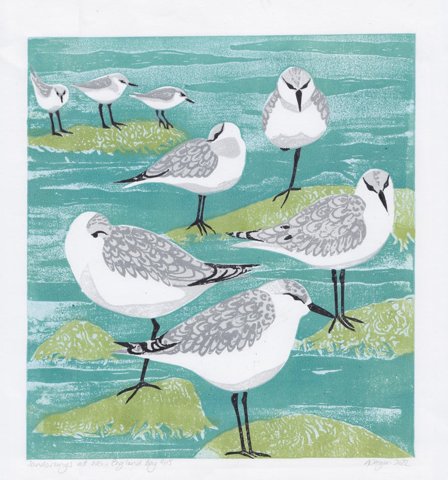 Original lino print sanderlings, sea birds, coastal scene