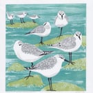 Original lino print sanderlings, sea birds, coastal scene