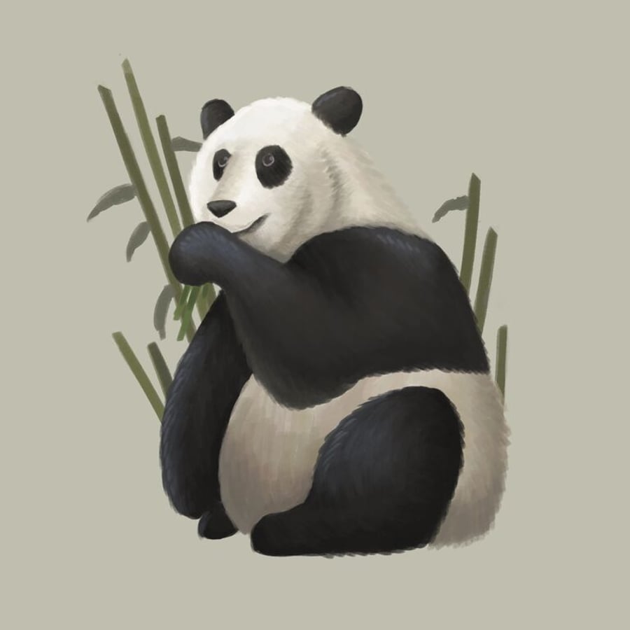 Panda Art Print