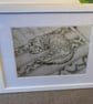 Portuguese Cat - Image 2