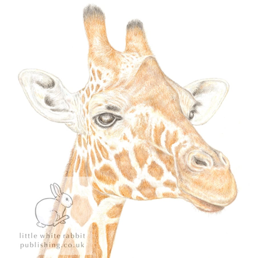 Giraffe - Biank Card