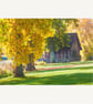 autumn trees romantic wooden hut cottage landscape housewarming new home gift - Image 3
