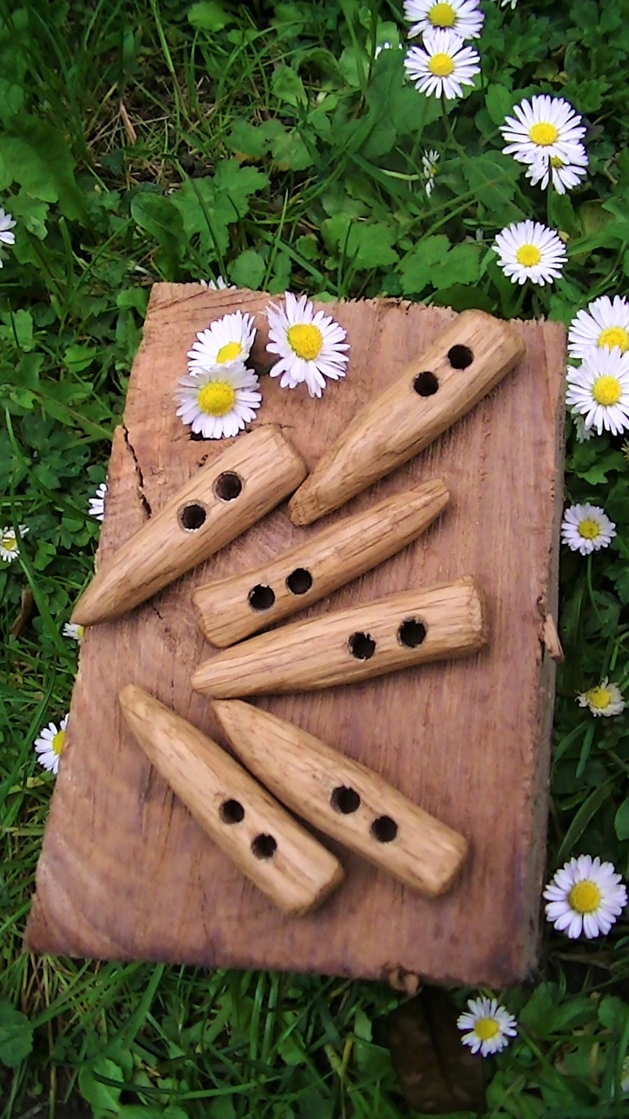 Half a dozen Light Oak Toggles - handcarved