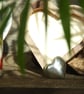 Solid silver heart love token - Image 8