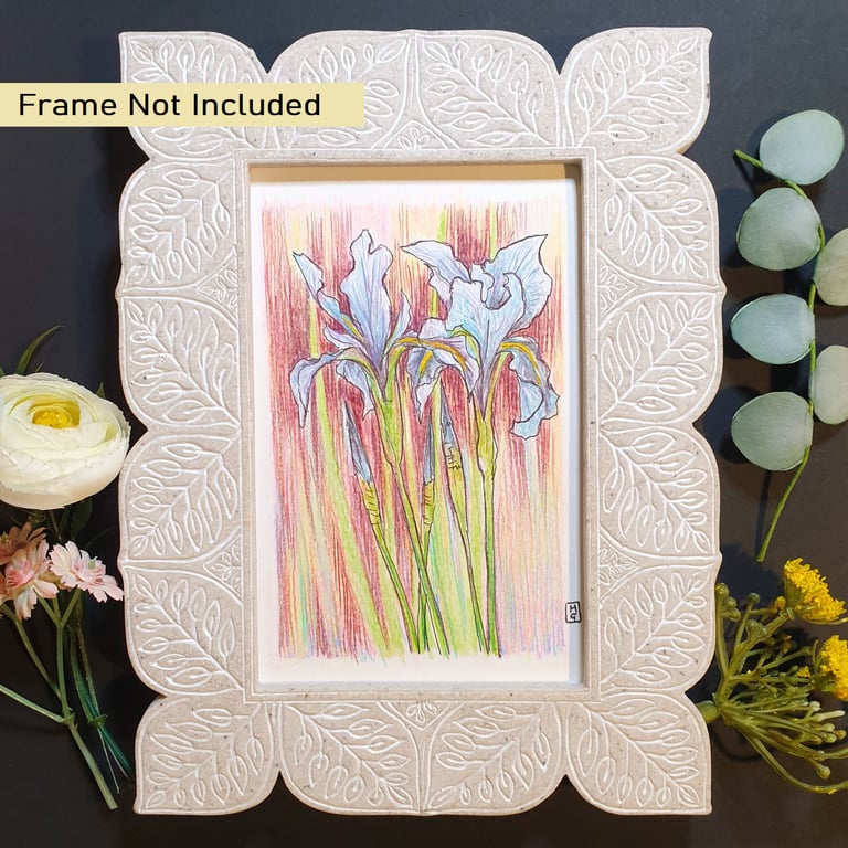 Blue Iris Flowers, small letterbox art gift, small drawing, floral artwork