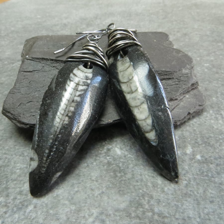 Orthoceras spine and silver wire wrap earrings, Fossil jewellery