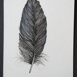 Small Feather Original Drawing