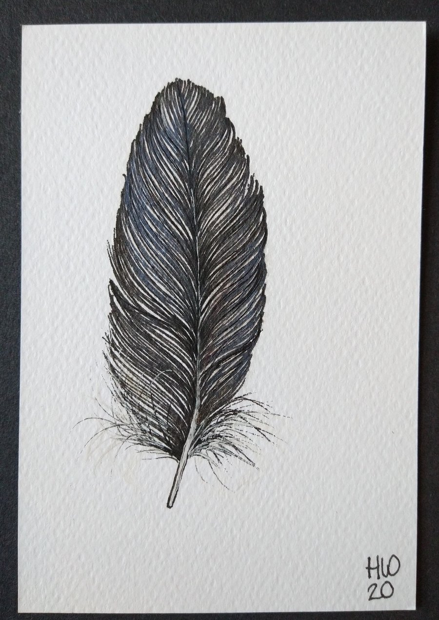 Small Feather Original Drawing